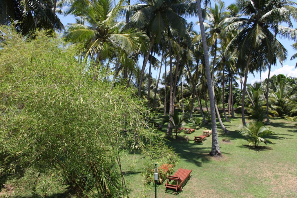 Chitra Ayurveda Otel Bentota Oda fotoğraf