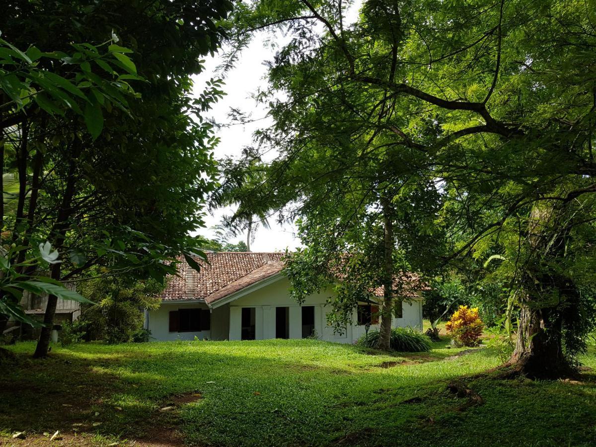 Chitra Ayurveda Otel Bentota Dış mekan fotoğraf