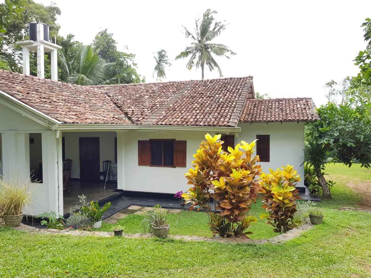 Chitra Ayurveda Otel Bentota Dış mekan fotoğraf