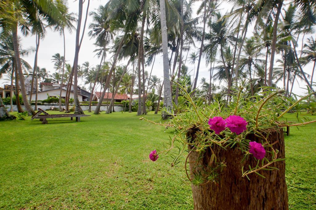 Chitra Ayurveda Otel Bentota Dış mekan fotoğraf
