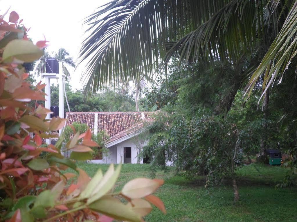 Chitra Ayurveda Otel Bentota Dış mekan fotoğraf